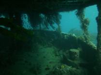 Os belos cenários do anufrágio Lesleen M, em Soufriere, sul de Santa Lúcia, no Caribe